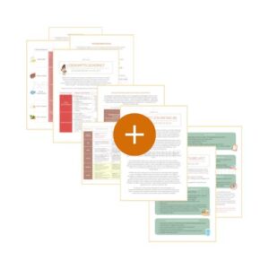 Handout: "Schwangerschafts&shy;bundle"